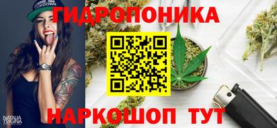 крисы Ачхой-Мартан