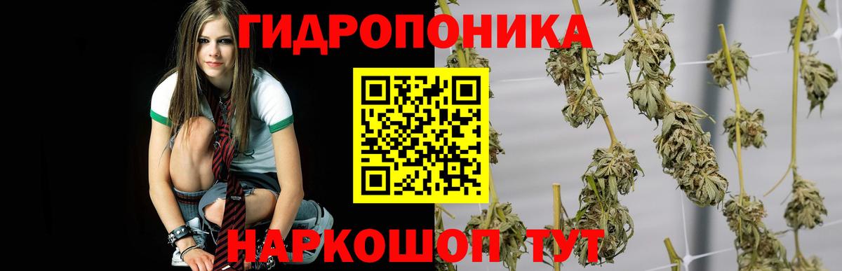 МАРИХУАНА планчик  Вход с VPN  Бошки марихуана индика  Красноармейск  Конопля индика 